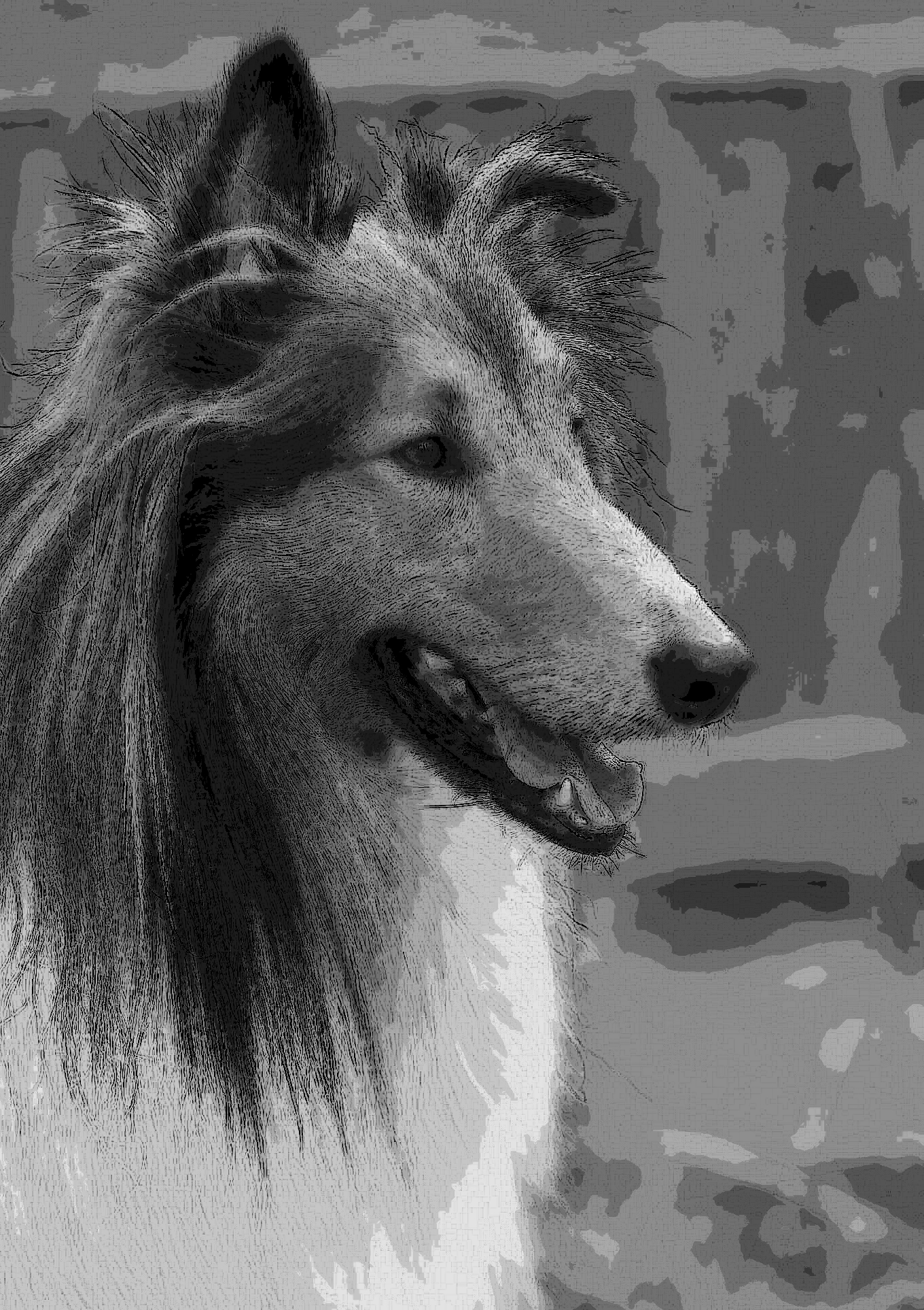 Charcoal Dog Portrait