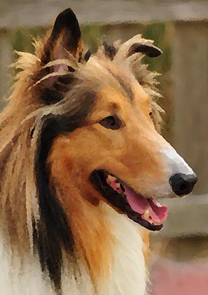 Oil Painting Dog Portrait